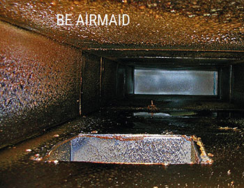 Štai kaip atrodo ortakių vidus, kai nenaudojami „Airmaid“ ozonatoriai
