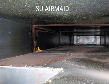 Štai kaip atrodo ortakių vidus, kai naudojami „Airmaid“ ozonatoriai