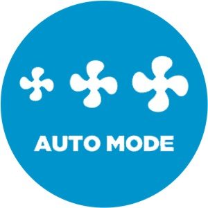 auto-rezimas